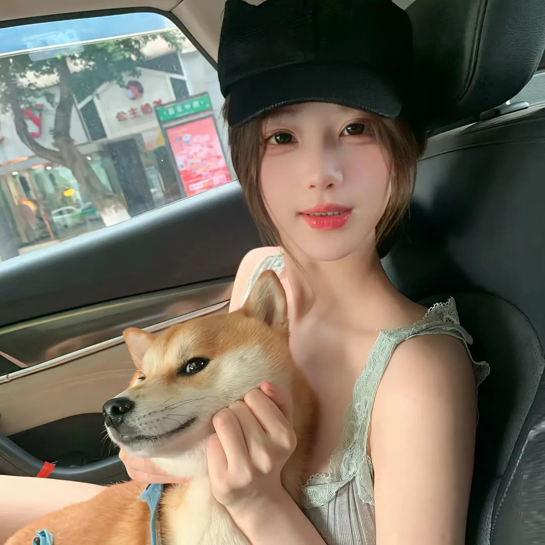 非枪人生第二季
